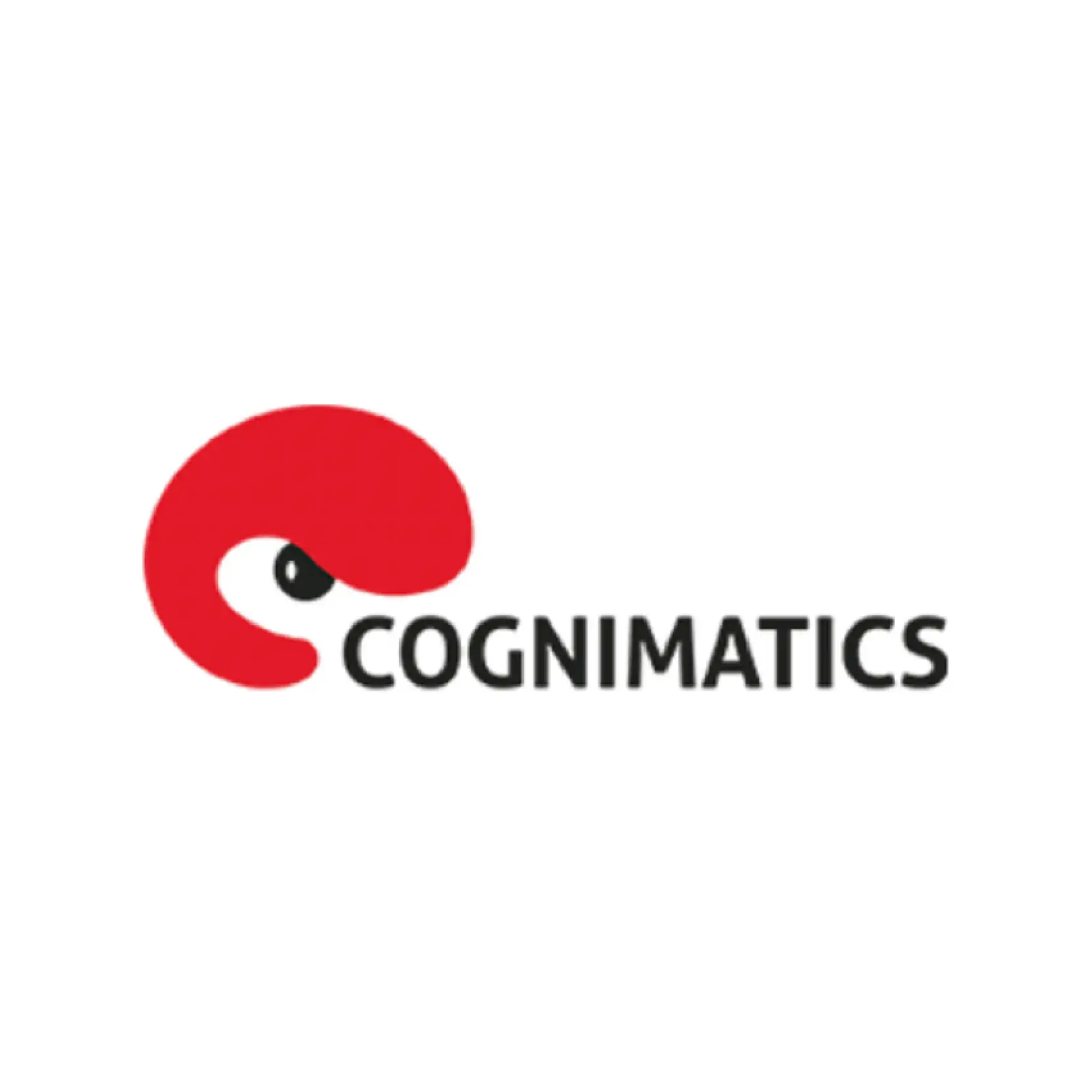 Cognimatics